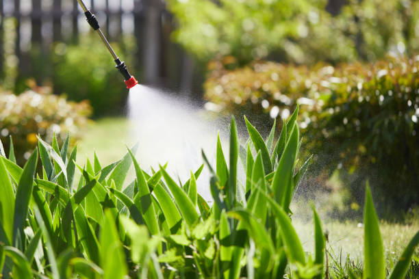 24/7 Emergency Ant Control experts in Brownfield, TX