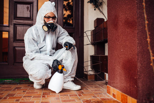 Reliable Ant Control contractor in Brownfield, TX by Show Me Pest Control