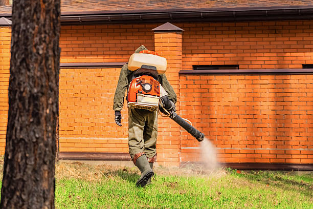Top rated local Ant Control specialists in Brownfield, TX